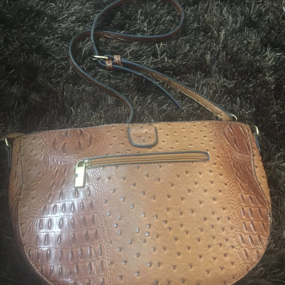 Vintage Alligator Delight